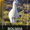 Kawa ziarnista 1kg BOLIWIA 100% ARABICA Świeżo Palona do ekspresu + GRATIS - obrazek 2