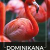 Kawa ziarnista 1kg DOMINIKANA 100% ARABICA Świeżo Palona do ekspresu+GRATIS - obrazek 2