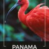 Kawa ziarnista 1kg PANAMA 100% ARABICA Świeżo Palona do ekspresu + GRATIS - obrazek 2
