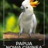 Kawa ziarnista 1kg PAPUA NOWA GWINEA 100% ARABICA Świeża do ekspresu+GRATIS - obrazek 2