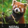Kawa ziarnista 1kg NEPAL 100% ARABICA Świeżo Palona do ekspresu + GRATIS - obrazek 2
