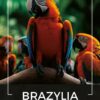 Kawa ziarnista 2x1kg BRAZYLIA 100% ARABICA Świeżo Palona do ekspresu+GRATIS - obrazek 2