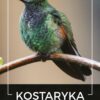 Kawa ziarnista 2x1kg KOSTARYKA 100%ARABICA Świeżo Palona do ekspresu+GRATIS - obrazek 2