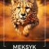 Kawa ziarnista 2x1kg MEKSYK 100% ARABICA Świeżo Palona do ekspresu + GRATIS - obrazek 2