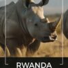 Kawa ziarnista 2x1kg RWANDA 100% ARABICA Świeżo Palona do ekspresu + GRATIS - obrazek 2