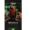 Kawa ziarnista 1kg BRAZYLIA 100% ARABICA Świeżo Palona do ekspresu + GRATIS - obrazek 2